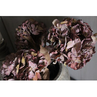 Brynxz zijden Hortensia mauve / aubergine 65 cm