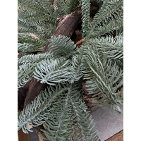 Nobilis pine spray Grey/green 40 cm