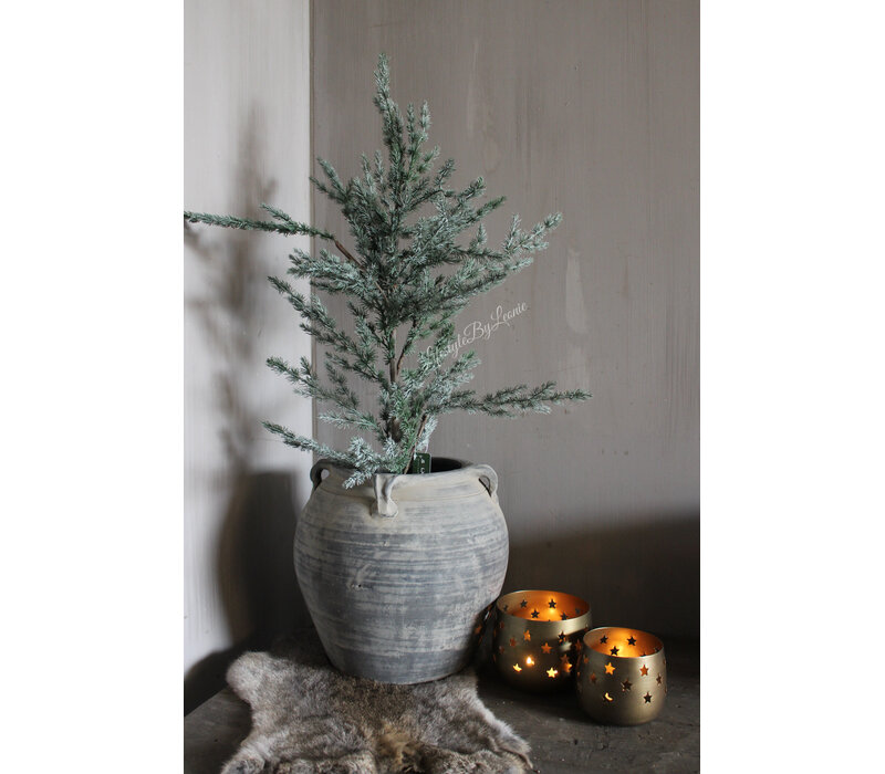 Brynxz Ceder tree grey 80 cm