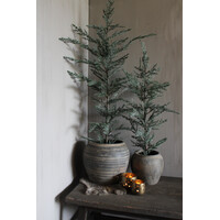 Brynxz Ceder tree grey 160 cm