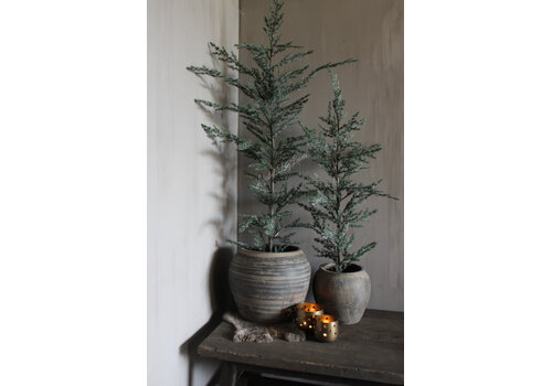 Brynxz Brynxz Ceder tree grey 160 cm
