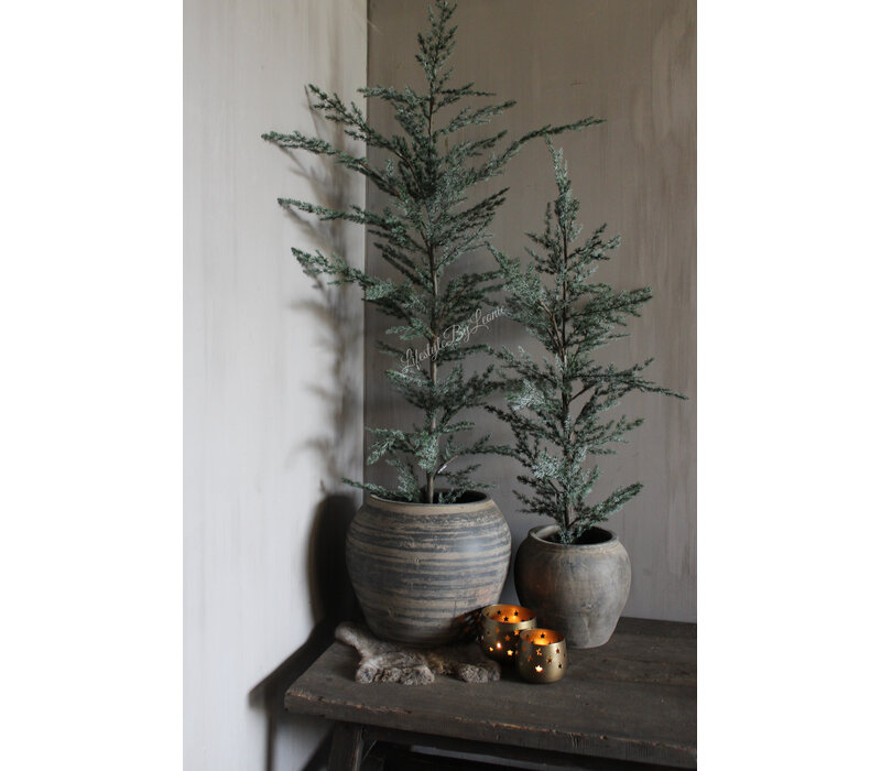 Brynxz Ceder tree grey 160 cm
