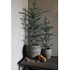 Brynxz Brynxz Ceder tree grey 120 cm