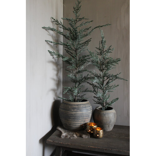 Brynxz Ceder tree grey 120 cm 