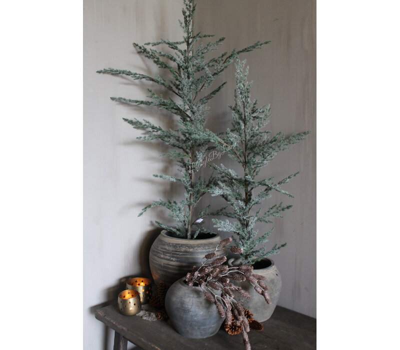 Brynxz Ceder tree grey 120 cm