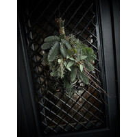 Wilde kerst hang toef / festoen M