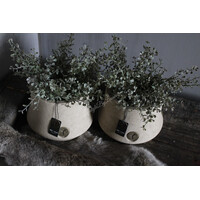 Brynxz ronde pot Luxury Taupe 19 x 15 cm