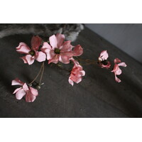 Brynxz Cornus tak pastel pink 67 cm
