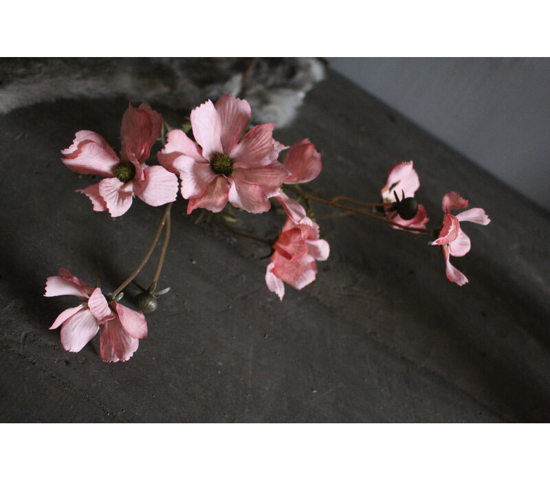 Brynxz Cornus tak pastel pink 67 cm