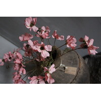 Brynxz Cornus tak pastel pink 67 cm