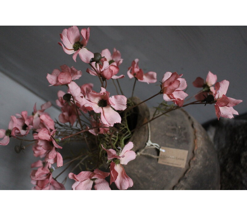 Brynxz Cornus tak pastel pink 67 cm