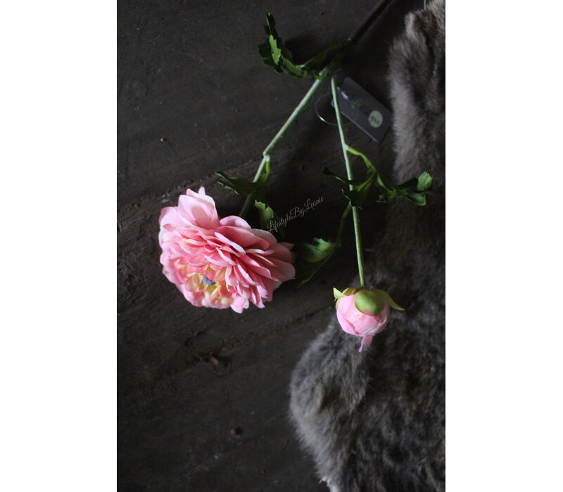 Brynxz zijden tak German Ranonkel peach/pink 54 cm