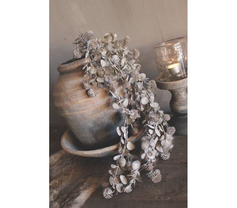 Namaak plant / hangtak Leucothoe green/grey 60 cm
