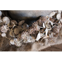 Namaak plant / hangtak Leucothoe green/grey 60 cm