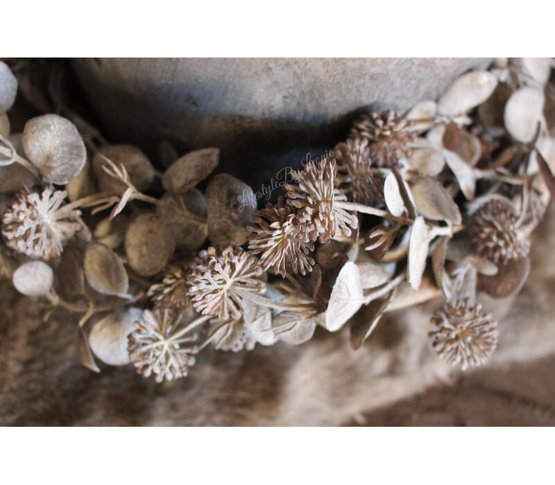 Namaak plant / hangtak Leucothoe green/grey 60 cm