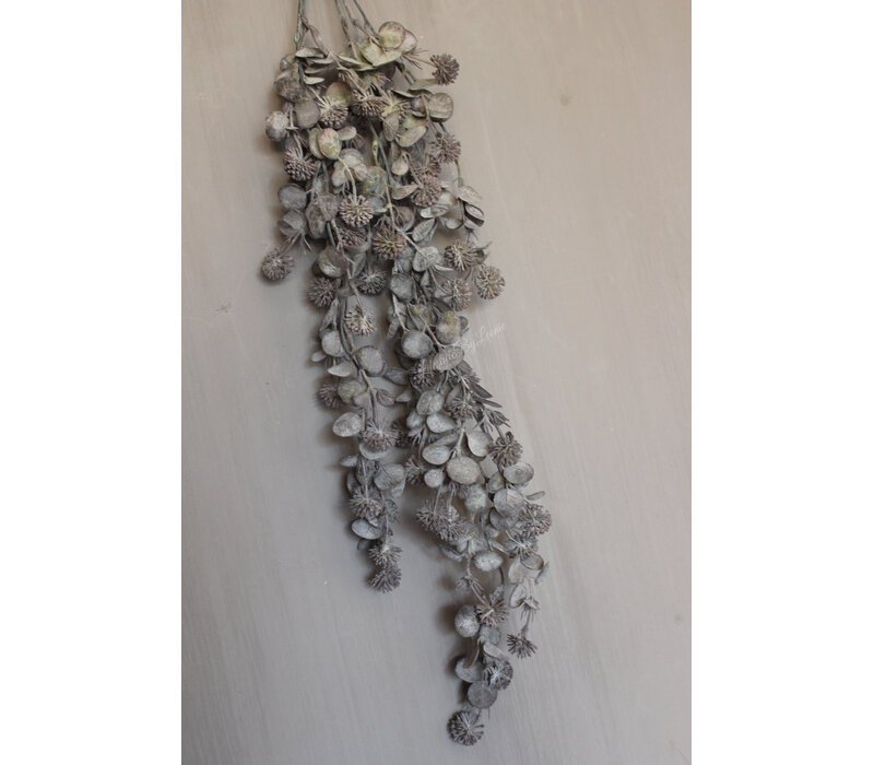 Namaak plant / hangtak Leucothoe green/grey 60 cm