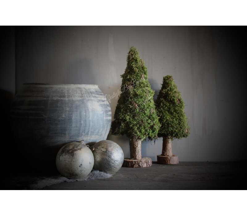 Mos boom op voet 50 cm