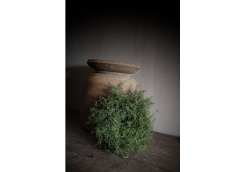 Groene wilde Asparagus krans 20 cm