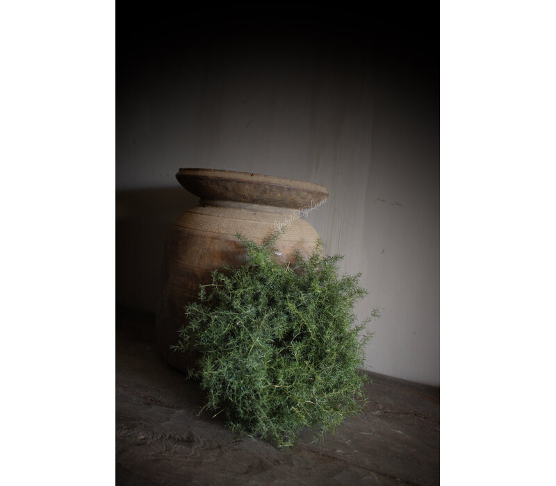 Groene wilde Asparagus krans 20 cm