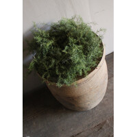 Groene wilde Asparagus krans 20 cm