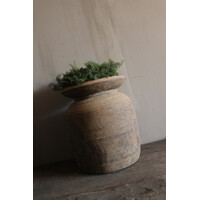 Groene wilde Asparagus krans 20 cm