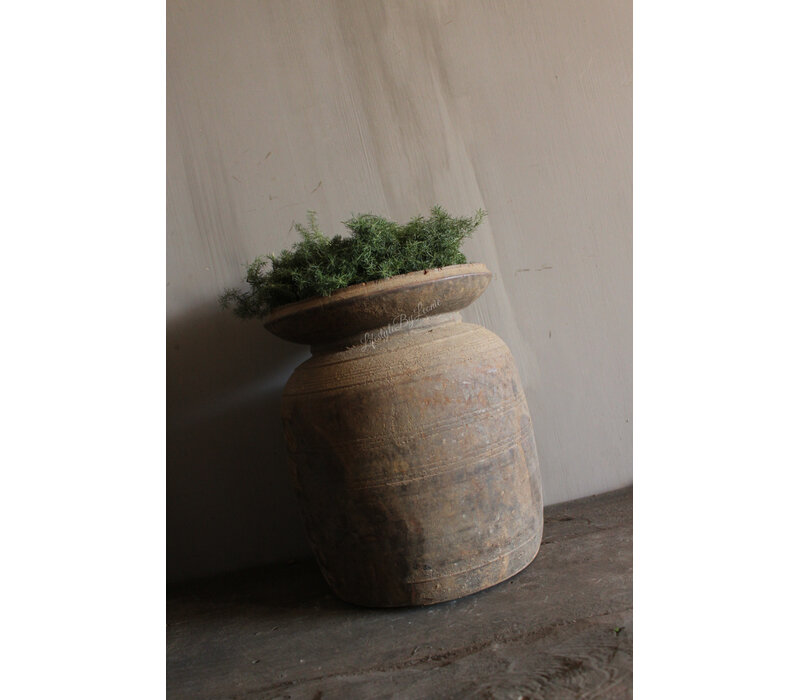 Groene wilde Asparagus krans 20 cm