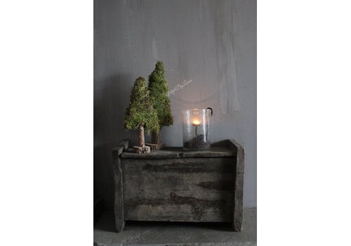 Mos boom op voet 40 cm