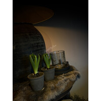 Zijden Hyacinth met bol green 23 cm