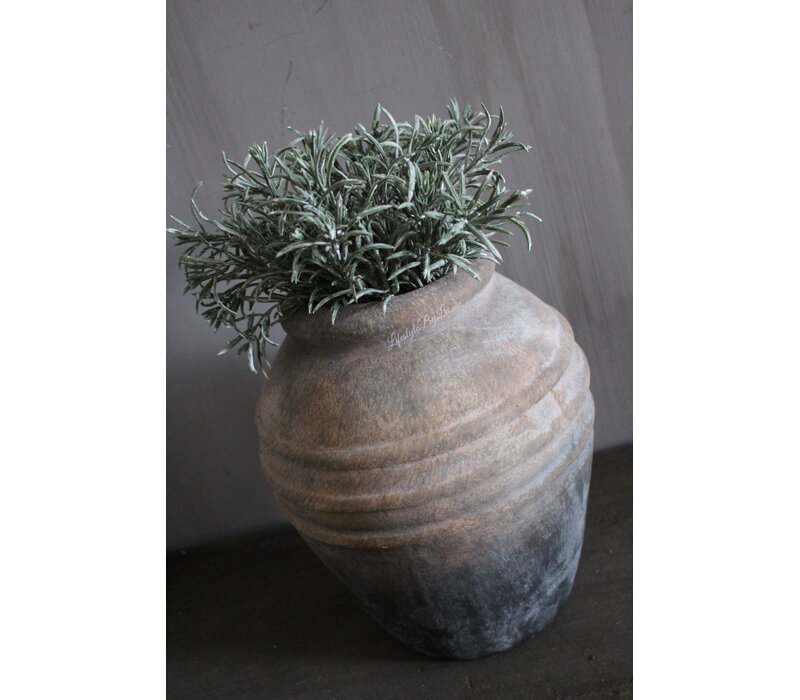Namaak bos Podocarpus 29cm