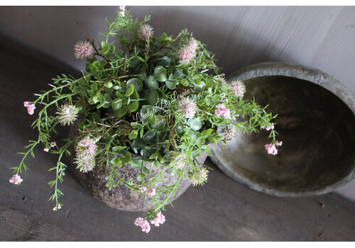 Namaak bos / deco bol Eucalyptus en Asparagus