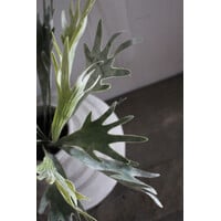 Namaak Hertshoorn plant 45 cm