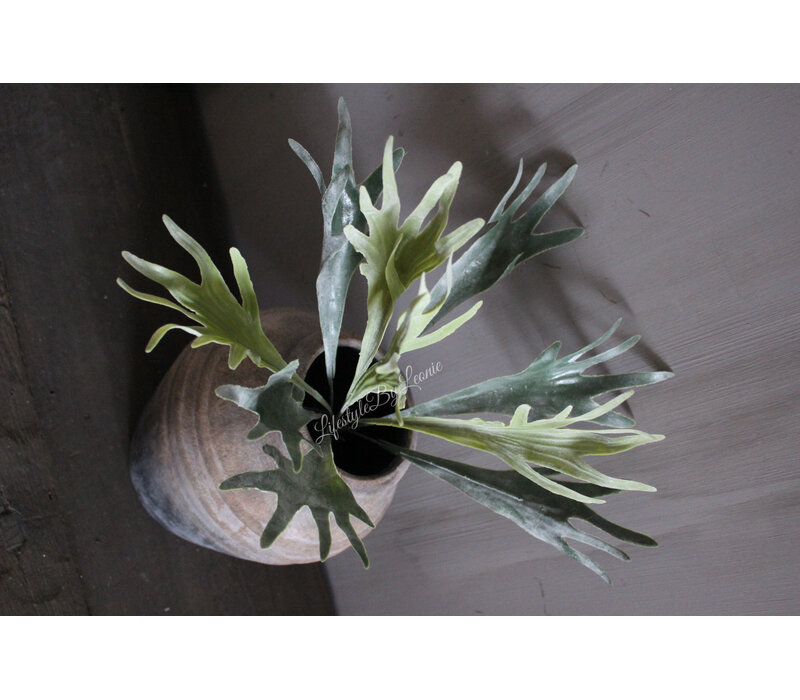 Namaak hertshoorn plant 45cm