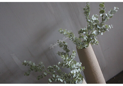 Kunst bundel / bos Eucalyptus Parvifolia groen 64 cm