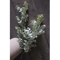 Kunst bundel / bos Eucalyptus Parvifolia groen 64 cm