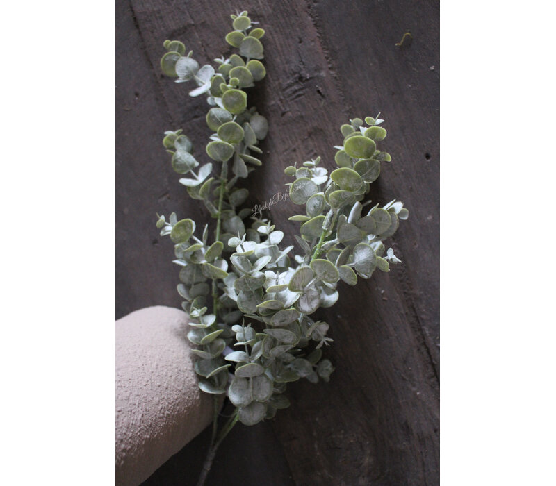 Kunst bundel / bos eucalyptus parvifolia groen 64cm