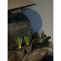 Zijden Hyacinth met bol green 23 cm