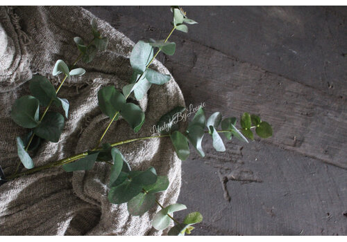 Kunst Eucalyptus tak groen/grijs 90 cm