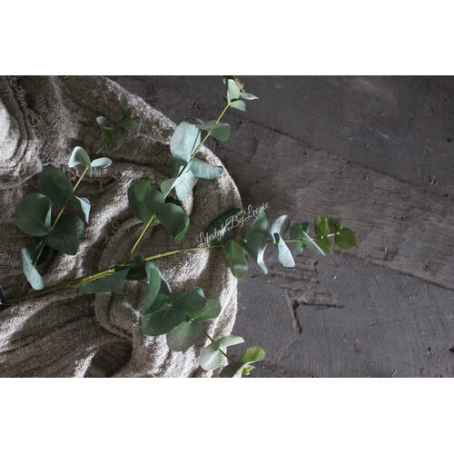 Kunst Eucalyptus tak groen/grijs 90 cm 