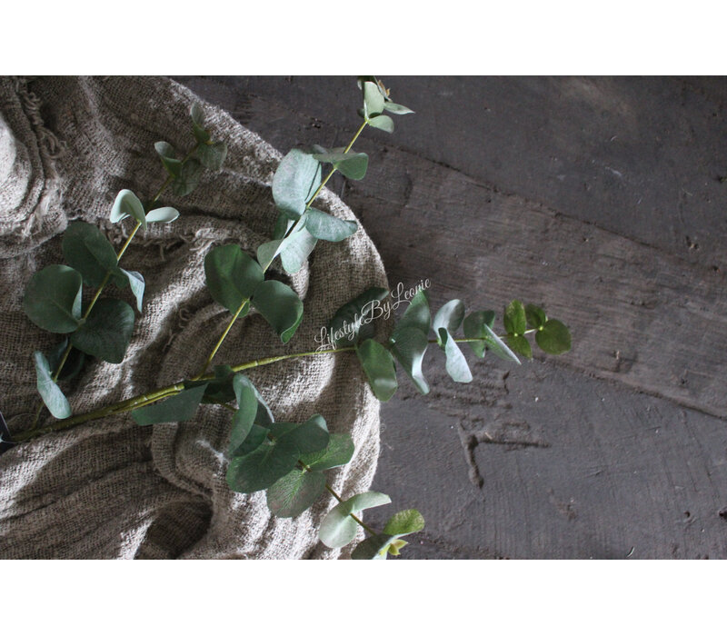 Kunst Eucalyptus tak groen/grijs 90 cm