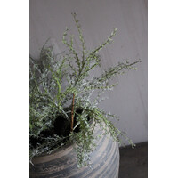Kunst Asparagus tak groen/grijs 80 cm