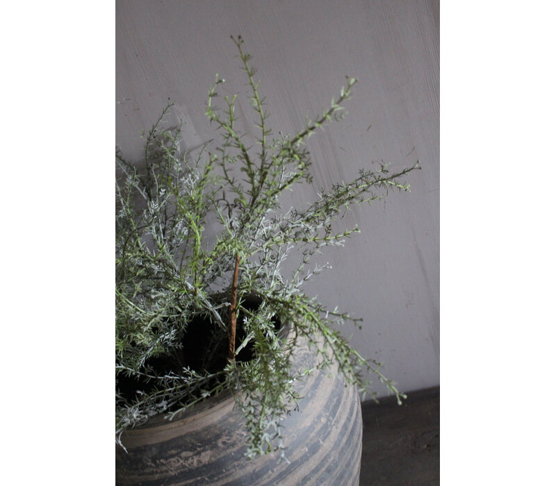 Kunst Asparagus tak groen/grijs 80 cm