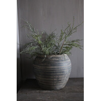 Kunst Asparagus tak groen/grijs 80 cm