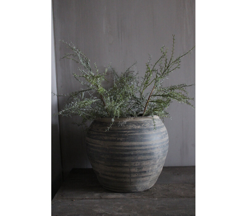 Kunst Asparagus tak groen/grijs 80 cm