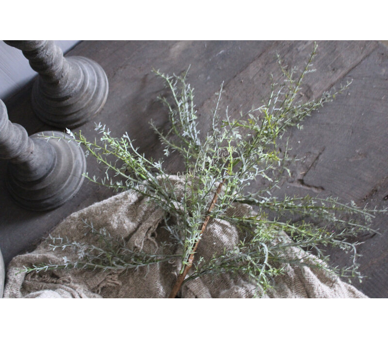 Kunst Asparagus tak groen/grijs 80 cm