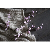 Kunst tak gipskruid pastel pink 57cm