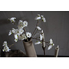 Zijden bloeiende bloesem tak Soft white 50cm