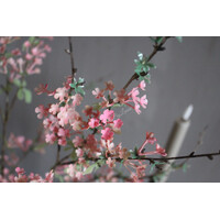 Kunst bloesem tak dark pink 80 cm