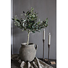 Zijden olijfboom 65 cm