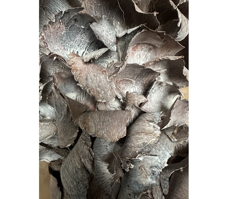 Krans Palm Petal naturel 55 cm