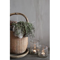 Namaak gedroogde Dadeltak green